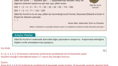 10. Sınıf Meb Yayınları Matematik Ders Kitabı Sayfa 19 Cevapları