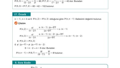 10. Sınıf Meb Yayınları Matematik Ders Kitabı Sayfa 24 Cevapları