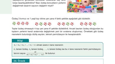 10. Sınıf Meb Yayınları Matematik Ders Kitabı Sayfa 29 Cevapları