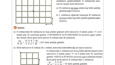 10. Sınıf Meb Yayınları Matematik Ders Kitabı Sayfa 31 Cevapları