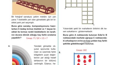 10. Sınıf Meb Yayınları Matematik Ders Kitabı Sayfa 33 Cevapları