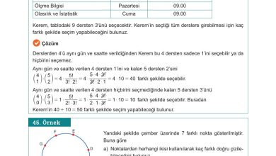 10. Sınıf Meb Yayınları Matematik Ders Kitabı Sayfa 42 Cevapları