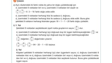 10. Sınıf Meb Yayınları Matematik Ders Kitabı Sayfa 43 Cevapları