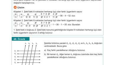 10. Sınıf Meb Yayınları Matematik Ders Kitabı Sayfa 44 Cevapları