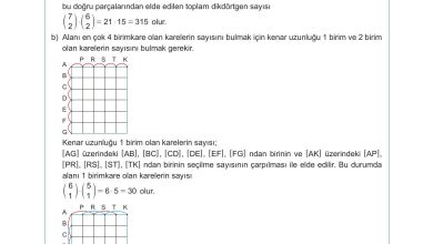 10. Sınıf Meb Yayınları Matematik Ders Kitabı Sayfa 46 Cevapları