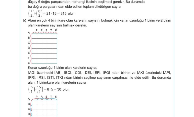 10. Sınıf Meb Yayınları Matematik Ders Kitabı Sayfa 46 Cevapları