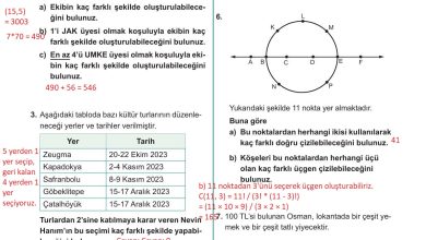 10. Sınıf Meb Yayınları Matematik Ders Kitabı Sayfa 47 Cevapları