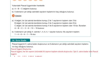 10. Sınıf Meb Yayınları Matematik Ders Kitabı Sayfa 49 Cevapları