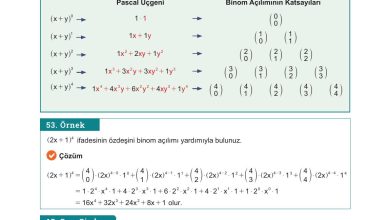 10. Sınıf Meb Yayınları Matematik Ders Kitabı Sayfa 52 Cevapları