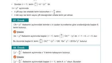 10. Sınıf Meb Yayınları Matematik Ders Kitabı Sayfa 54 Cevapları