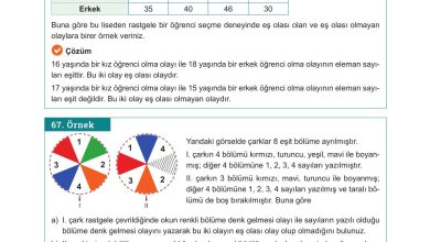 10. Sınıf Meb Yayınları Matematik Ders Kitabı Sayfa 60 Cevapları