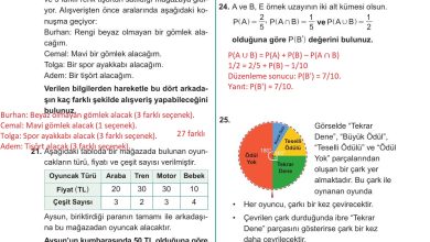 10. Sınıf Meb Yayınları Matematik Ders Kitabı Sayfa 75 Cevapları