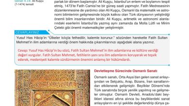 10. Sınıf Meb Yayınları Tarih Ders Kitabı Sayfa 114 Cevapları