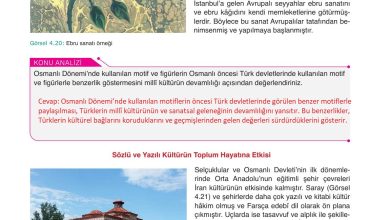 10. Sınıf Meb Yayınları Tarih Ders Kitabı Sayfa 116 Cevapları