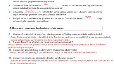 10. Sınıf Meb Yayınları Tarih Ders Kitabı Sayfa 120 Cevapları