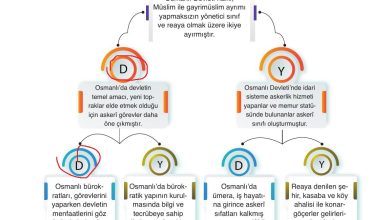 10. Sınıf Meb Yayınları Tarih Ders Kitabı Sayfa 121 Cevapları