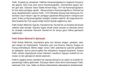 10. Sınıf Meb Yayınları Tarih Ders Kitabı Sayfa 135 Cevapları