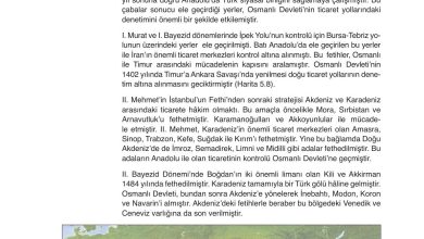 10. Sınıf Meb Yayınları Tarih Ders Kitabı Sayfa 154 Cevapları