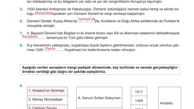 10. Sınıf Meb Yayınları Tarih Ders Kitabı Sayfa 165 Cevapları