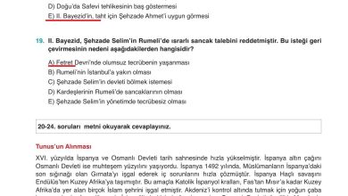 10. Sınıf Meb Yayınları Tarih Ders Kitabı Sayfa 167 Cevapları