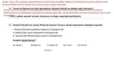 10. Sınıf Meb Yayınları Tarih Ders Kitabı Sayfa 168 Cevapları