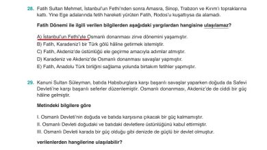 10. Sınıf Meb Yayınları Tarih Ders Kitabı Sayfa 169 Cevapları