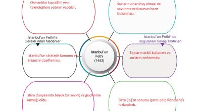 10. Sınıf Meb Yayınları Tarih Ders Kitabı Sayfa 171 Cevapları