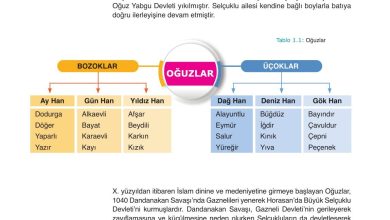 10. Sınıf Meb Yayınları Tarih Ders Kitabı Sayfa 18 Cevapları