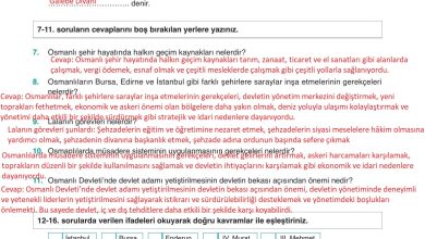 10. Sınıf Meb Yayınları Tarih Ders Kitabı Sayfa 184 Cevapları