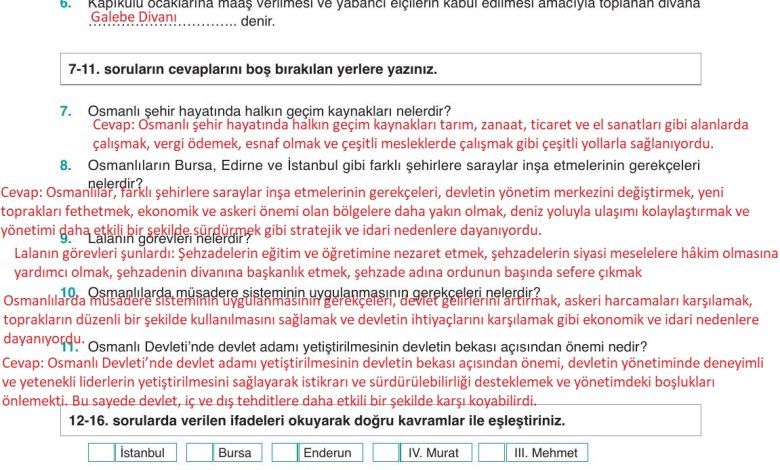 10. Sınıf Meb Yayınları Tarih Ders Kitabı Sayfa 184 Cevapları