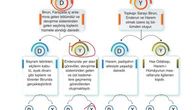 10. Sınıf Meb Yayınları Tarih Ders Kitabı Sayfa 185 Cevapları