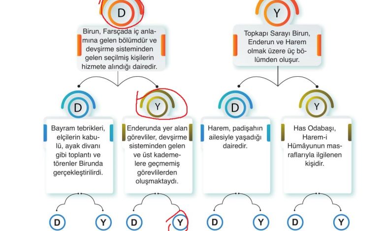 10. Sınıf Meb Yayınları Tarih Ders Kitabı Sayfa 185 Cevapları