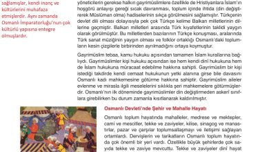 10. Sınıf Meb Yayınları Tarih Ders Kitabı Sayfa 194 Cevapları