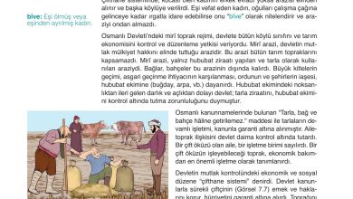 10. Sınıf Meb Yayınları Tarih Ders Kitabı Sayfa 198 Cevapları