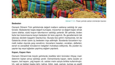 10. Sınıf Meb Yayınları Tarih Ders Kitabı Sayfa 203 Cevapları