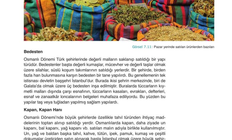 10. Sınıf Meb Yayınları Tarih Ders Kitabı Sayfa 203 Cevapları