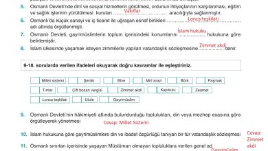 10. Sınıf Meb Yayınları Tarih Ders Kitabı Sayfa 208 Cevapları