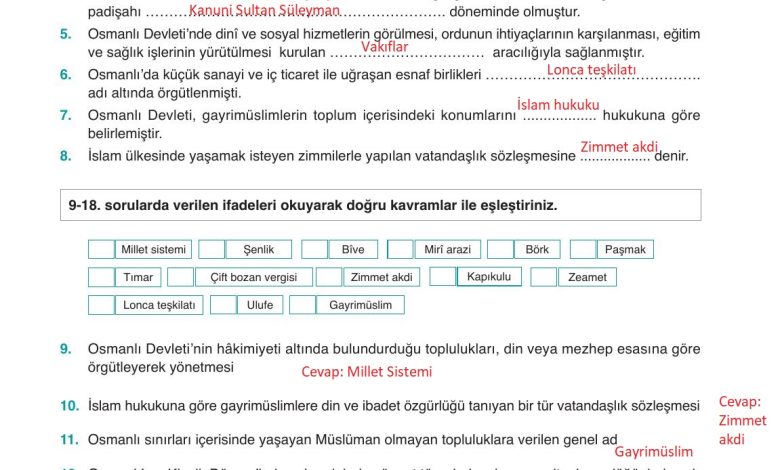 10. Sınıf Meb Yayınları Tarih Ders Kitabı Sayfa 208 Cevapları