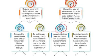 10. Sınıf Meb Yayınları Tarih Ders Kitabı Sayfa 209 Cevapları