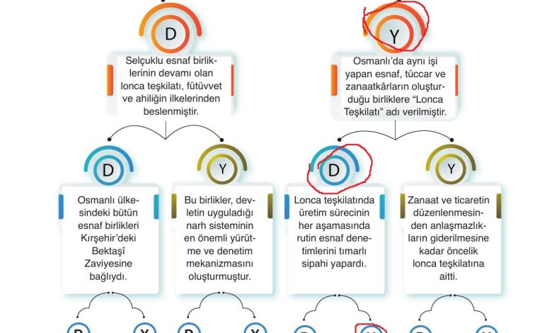 10. Sınıf Meb Yayınları Tarih Ders Kitabı Sayfa 209 Cevapları