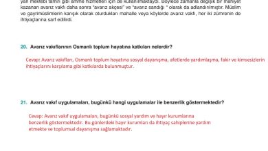 10. Sınıf Meb Yayınları Tarih Ders Kitabı Sayfa 210 Cevapları