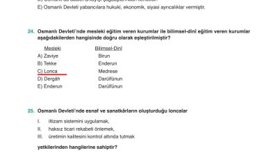 10. Sınıf Meb Yayınları Tarih Ders Kitabı Sayfa 211 Cevapları