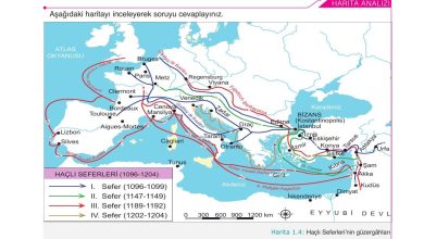 10. Sınıf Meb Yayınları Tarih Ders Kitabı Sayfa 31 Cevapları