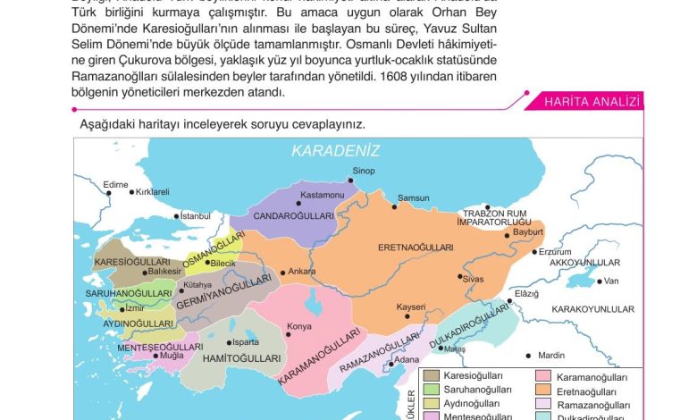 10. Sınıf Meb Yayınları Tarih Ders Kitabı Sayfa 41 Cevapları