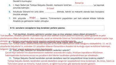 10. Sınıf Meb Yayınları Tarih Ders Kitabı Sayfa 42 Cevapları