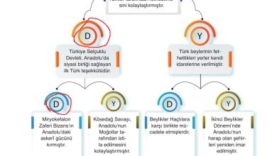 10. Sınıf Meb Yayınları Tarih Ders Kitabı Sayfa 43 Cevapları