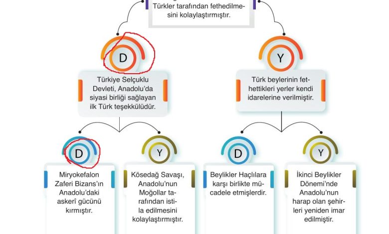 10. Sınıf Meb Yayınları Tarih Ders Kitabı Sayfa 43 Cevapları