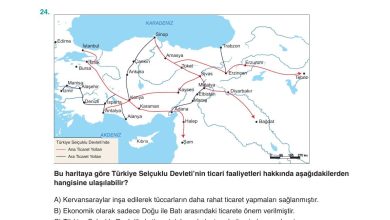 10. Sınıf Meb Yayınları Tarih Ders Kitabı Sayfa 45 Cevapları