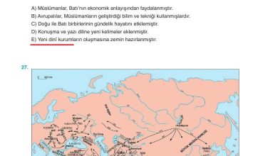 10. Sınıf Meb Yayınları Tarih Ders Kitabı Sayfa 46 Cevapları