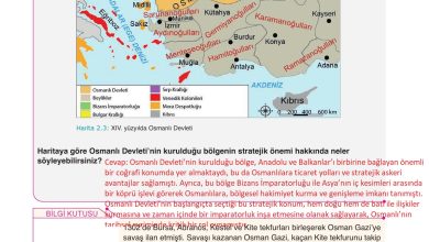 10. Sınıf Meb Yayınları Tarih Ders Kitabı Sayfa 58 Cevapları